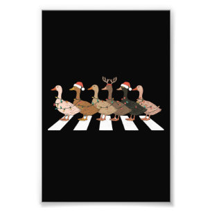 Weihnachtsenten Lustige Tiere Weihnachten Bauernho Fotodruck