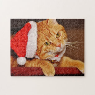 Weihnachtsfeier auf einer Orange Tabby Cat