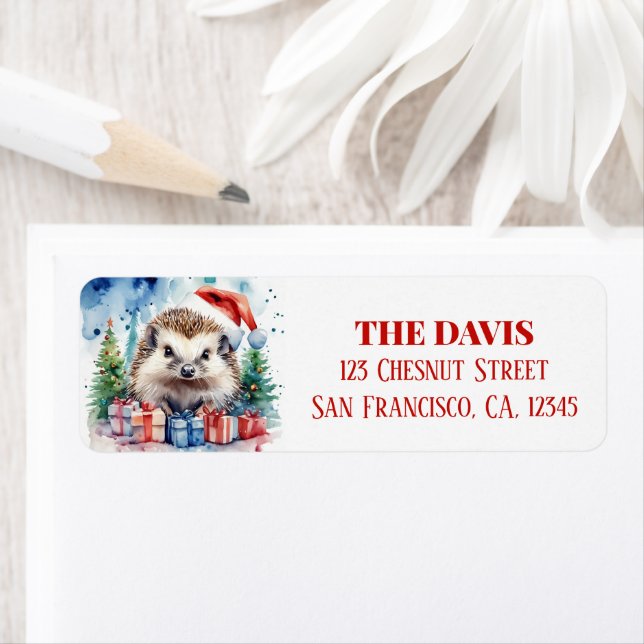 Weihnachtsfeierlicher Igel (Insitu)