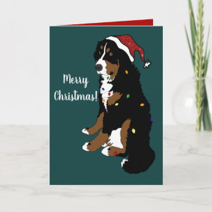 Weihnachtsfeiertag Bernese Mountain Dog Karte