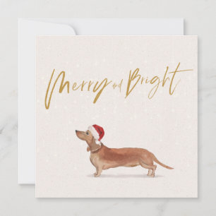 Weihnachtsfeiertag Dackel Tan Dog Merry Gruß