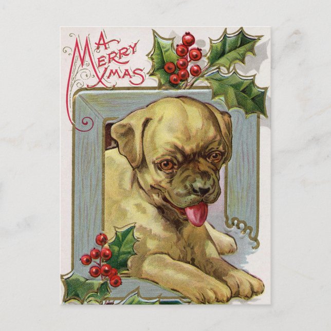 Weihnachtsfeiertag Holly Hund Postkarte (Vorderseite)