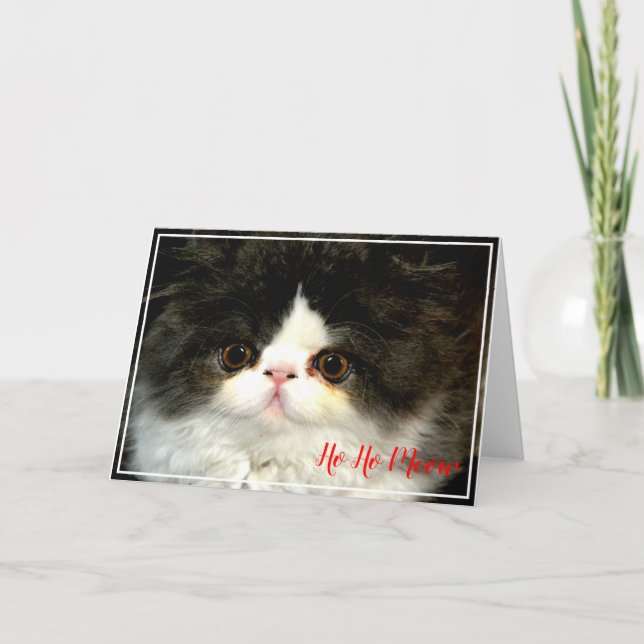 Weihnachtsfeiertag Schwarz-weiß flauschig Kitten Karte (Vorderseite)