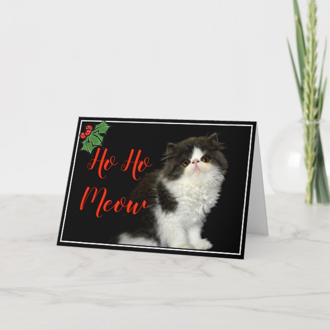 Weihnachtsfeiertag Schwarz-weiß flauschig Kitten Karte (Vorderseite)
