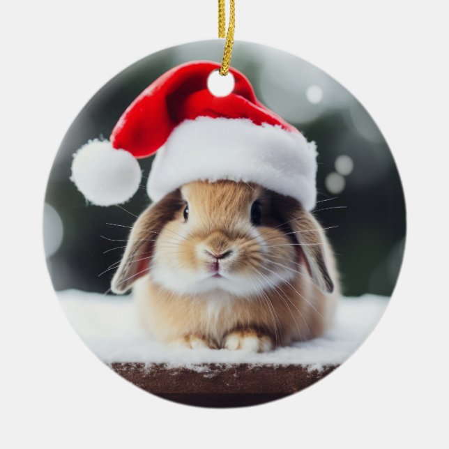 Weihnachtsfest Bunny Keramik Ornament (Vorne)