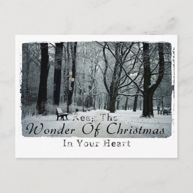 Weihnachtsfotografie Postkarte (Vorderseite)