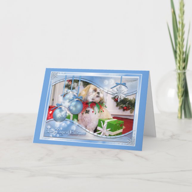 WeihnachtsFotokarte Shih Tzu Feiertagskarte (Vorderseite)