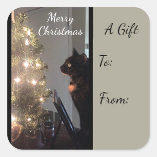 Weihnachtsfreude-Kaliko-Katzen-Geschenk-Aufkleber Quadratischer Aufkleber