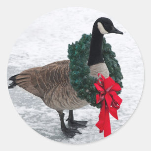 Weihnachtsgansaufkleber Runder Aufkleber
