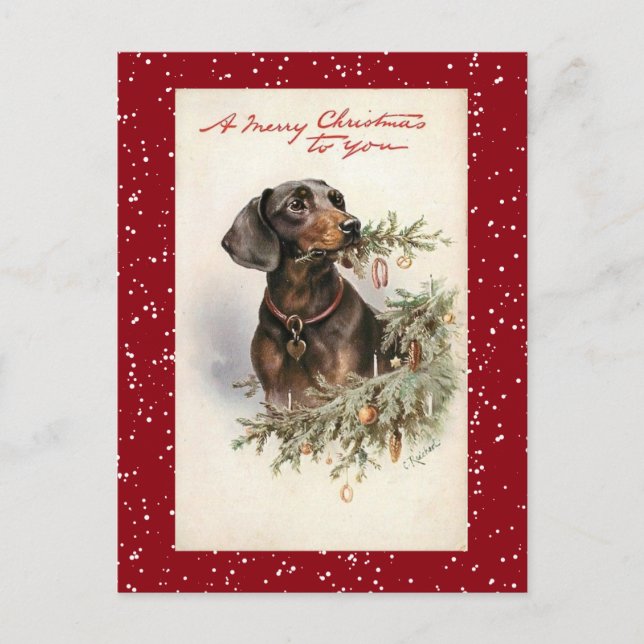 Weihnachtsgebäck Dackel Hund Feiertagspostkarte (Vorderseite)