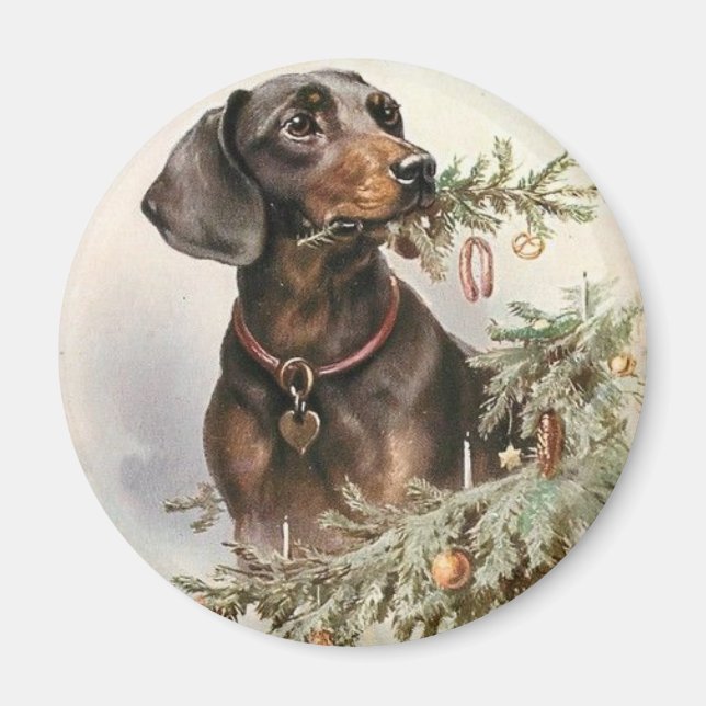 Weihnachtsgebäck Dackel Hund Magnet (Vorne)