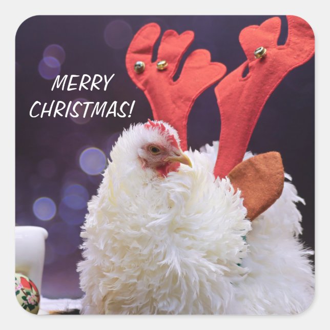 Weihnachtsgebäck - Frizzled Cochin Bantam Pet Quadratischer Aufkleber (Vorderseite)