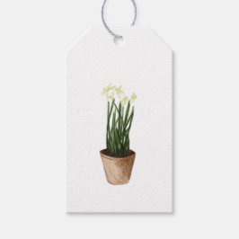 Weihnachtsgebäck Paperwhites Pflanze Geschenkanhänger