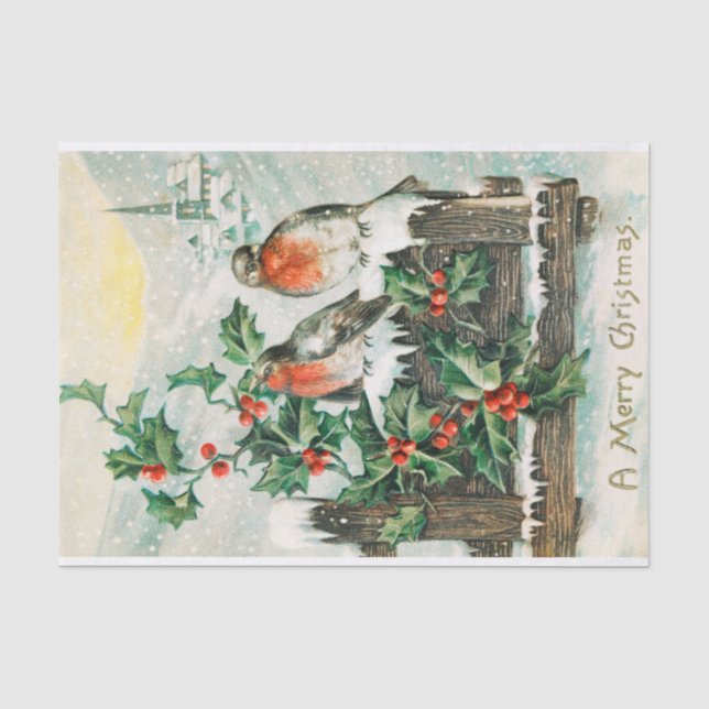 Weihnachtsgeburten und Holly-Winter-Schnee Seidenpapier (Vorderseite)