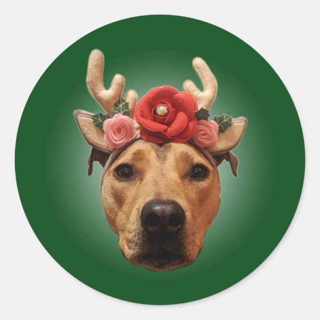 Weihnachtsgeburtstitel Runder Aufkleber (Vorderseite)