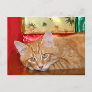 Weihnachtsgeduldigkeit Feiertagspostkarte