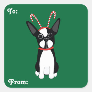 Weihnachtsgeschenk-Aufkleber Bostons Terrier Quadratischer Aufkleber