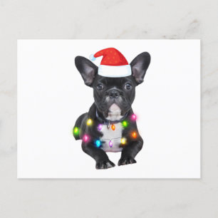 Weihnachtsgeschenk für Bulldoggen Postkarte