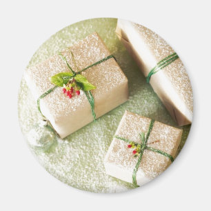 Weihnachtsgeschenk im Schnee Magnet