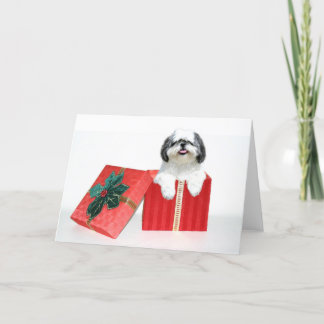 Weihnachtsgeschenk Shih Tzu Feiertagskarte