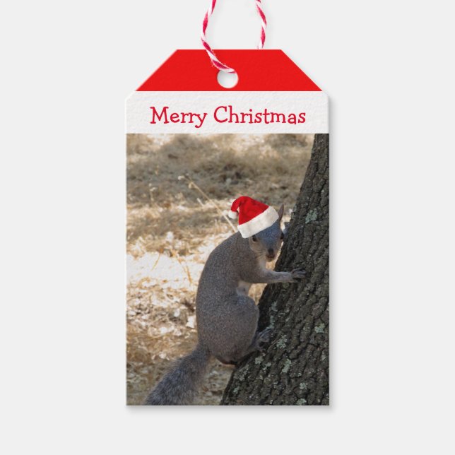 Weihnachtsgeschenk-Tag Geschenkanhänger (Vorderseite)