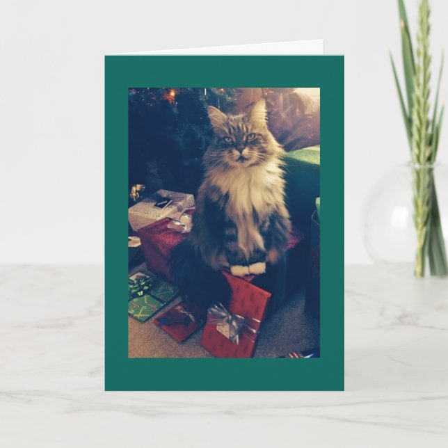 Weihnachtsgeschenke und Katze Feiertagskarte (Vorderseite)
