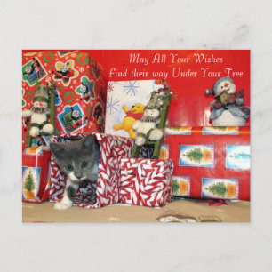 Weihnachtsgeschenke von Bob - Katze / Kätzchen Wei Feiertagspostkarte
