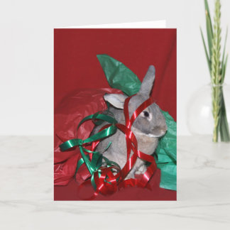 Weihnachtsgeschenkverpackungsfrustration Feiertagskarte