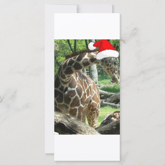 WeihnachtsGiraffe (Vorderseite)