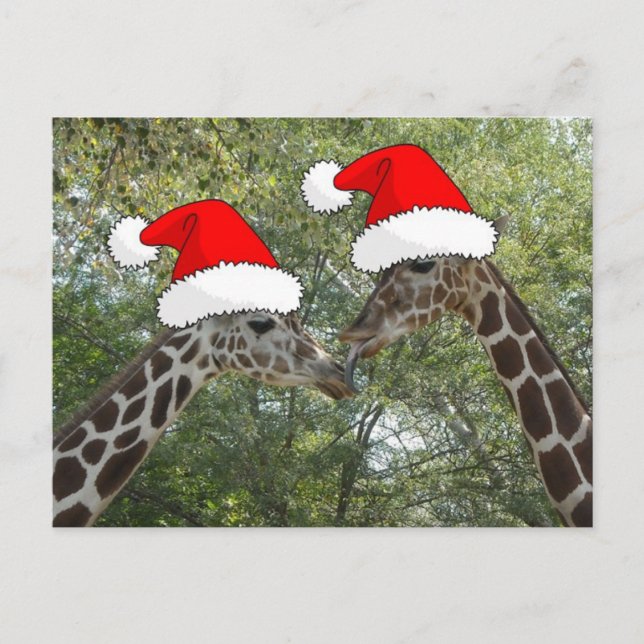 WeihnachtsGiraffen Feiertagspostkarte (Vorderseite)