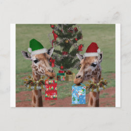 Weihnachtsgiraffen Feiertagspostkarte