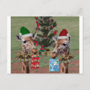 Weihnachtsgiraffen Feiertagspostkarte