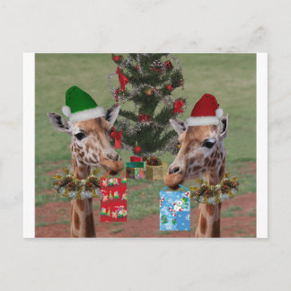 Weihnachtsgiraffen Feiertagspostkarte