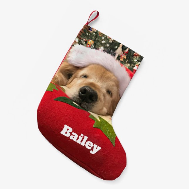 Weihnachtsgolden retriever-Hund schlafend unter Kleiner Weihnachtsstrumpf (Vorderansicht (hängend))