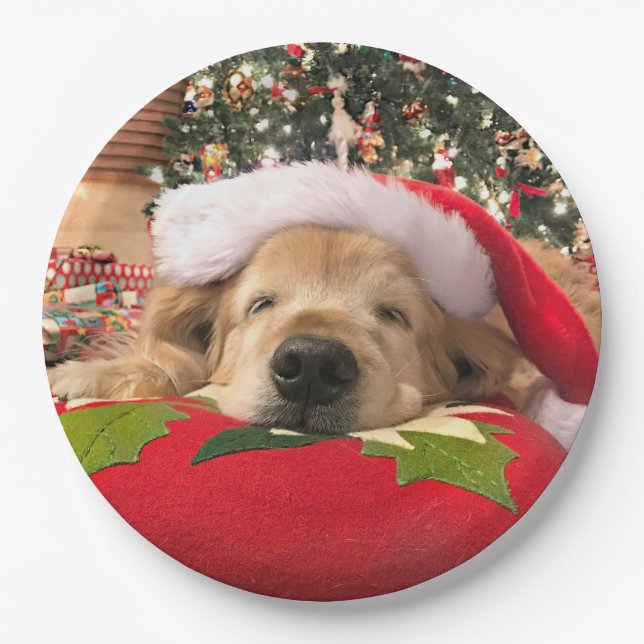 Weihnachtsgolden retriever-Hund schlafend unter Pappteller (Vorderseite)