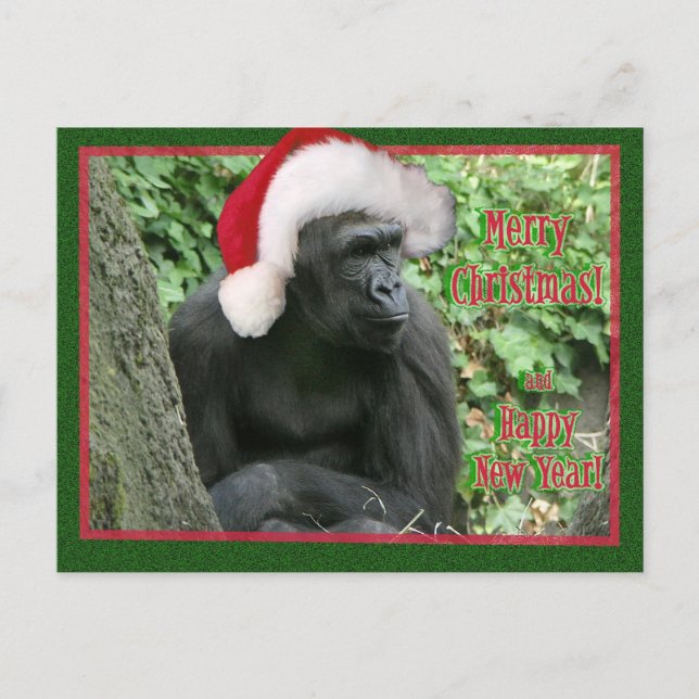 WeihnachtsGorilla Feiertagspostkarte (Vorderseite)