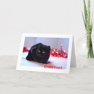 Weihnachtsgruß-Karte Feiertagskarte