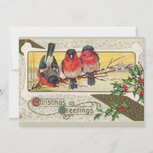 Weihnachtsgruß - Weihnachtskarte für Vögel Feiertagskarte