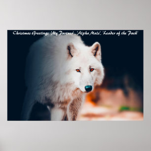 Weihnachtsgrüße Anführer des Rudels Poster