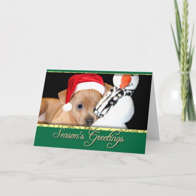 Weihnachtsgrüße Chihuahua-Karte Feiertagskarte (Vorderseite)