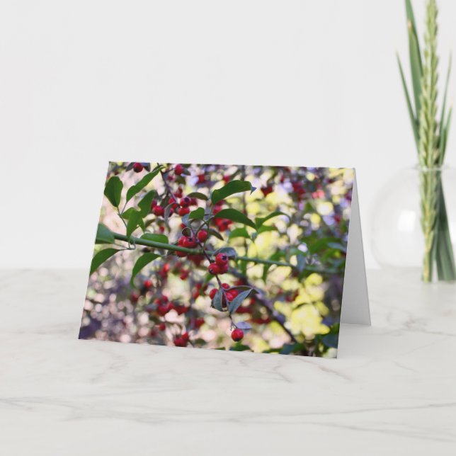 Weihnachtsgrüße Dankeskarte (Vorderseite)