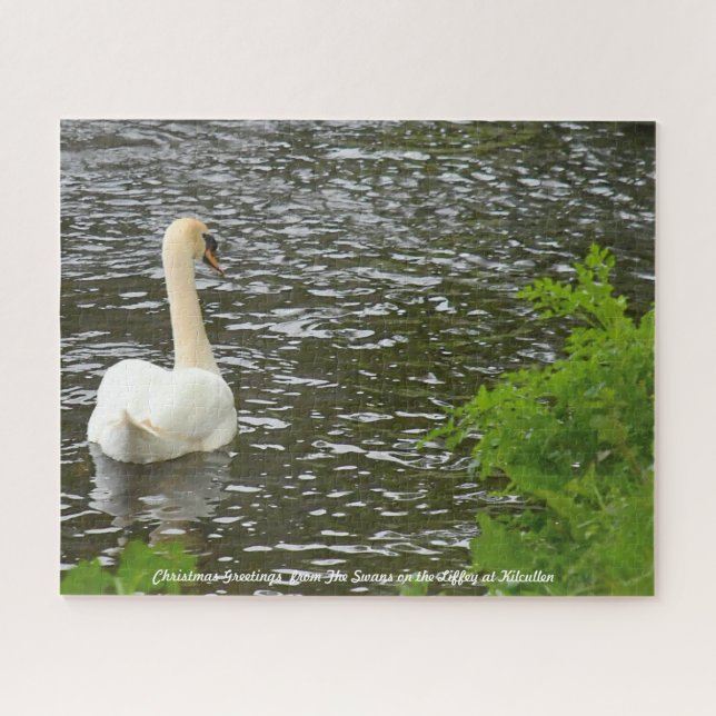 Weihnachtsgrüße Die Schwäne in Kilcullen (Horizontal)