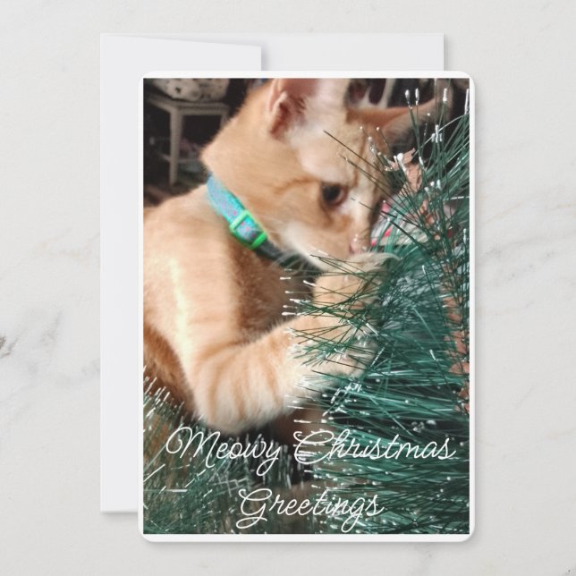 Weihnachtsgrüße, Foto und Text, maßgeschneidert Feiertagskarte (Vorderseite)