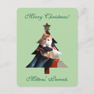 Weihnachtsgrüße Katzenfoto Karte