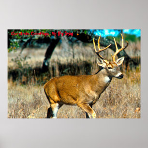 Weihnachtsgrüße  Mein großer Hirsch Poster