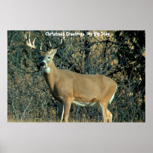 Weihnachtsgrüße Mein großer Stag Poster