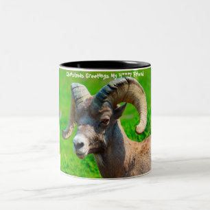 Weihnachtsgrüße Mein Honig-Freund Zweifarbige Tasse