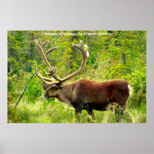 Weihnachtsgrüße Mein Jäger Gatherer Poster