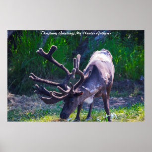 Weihnachtsgrüße Mein Jäger Gatherer Poster