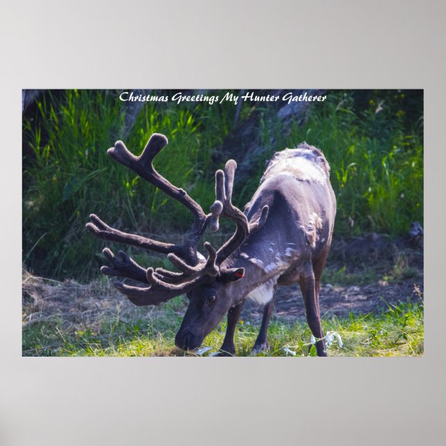 Weihnachtsgrüße Mein Jäger Gatherer Poster (Vorne)